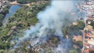 409b1394 incendio parque