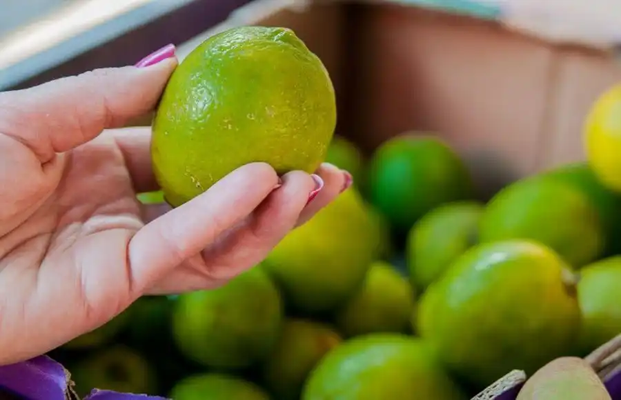 42ebba49 8d9e 45c8 a654 32b1b07dc267