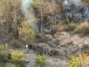 Apenas em agosto, Goiás registrou a destruição de 125.693 hectares, o equivalente a cerca de 176 campos de futebol Foto: Divulgação/CBM-GO