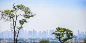 9 abre 1 Jucimar de Sousa SES GO