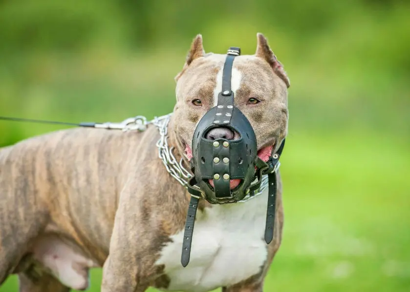 9 abre 1 Reproducao 1