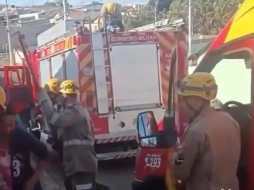 Idosa de 60 anos é brutalmente atacada por pitbull em Anápolis