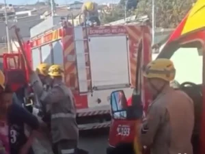 Idosa de 60 anos é brutalmente atacada por pitbull em Anápolis