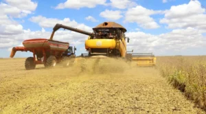 Cristalina (GO) foi a única a registrar crescimento no valor da produção em relação ao ano anterior Foto:Jaelson Lucas/Arquivo/AEN