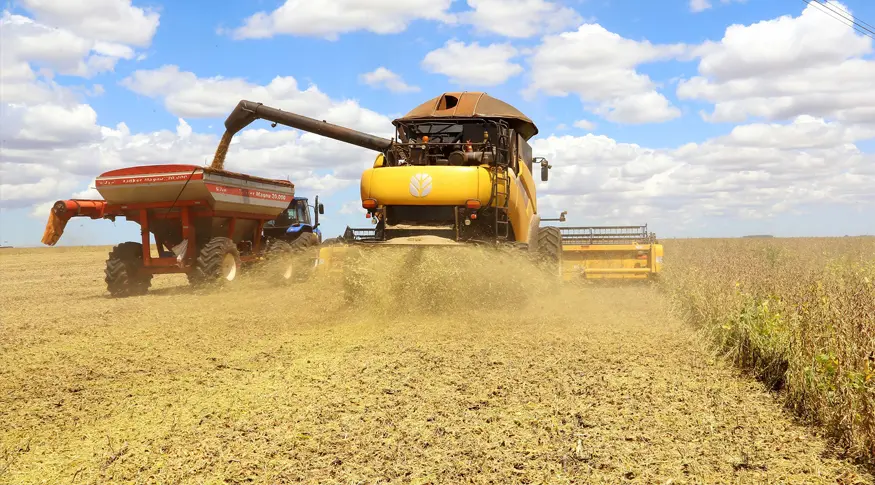 Cristalina (GO) foi a única a registrar crescimento no valor da produção em relação ao ano anterior Foto:Jaelson Lucas/Arquivo/AEN
