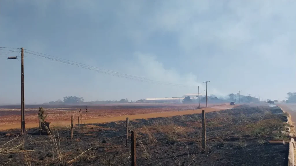 Queimadas aumentam 22% e afetam rede elétrica em Goiás