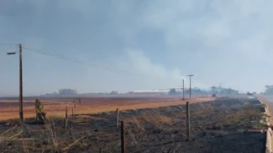 Queimadas aumentam 22% e afetam rede elétrica em Goiás