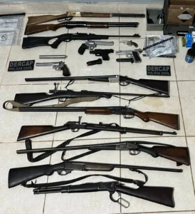 Polícia Civil apreende arsenal com 15 armas e 3 mil munições em Niquelândia Foto: Divulgação/PCGO