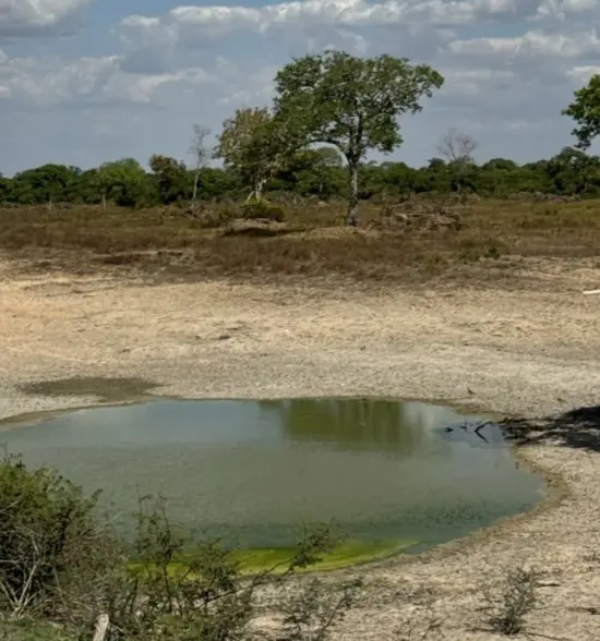 WhatsApp Image 2025 09 06 at 09.17.49