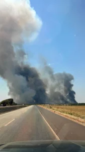 O fogo começou no canavial e avançou em direção à rodovia Foto: Reprodução/ Instagram Oloares Ferreira