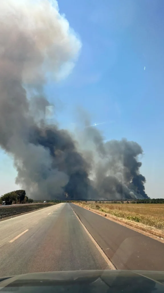 O fogo começou no canavial e avançou em direção à rodovia Foto: Reprodução/ Instagram Oloares Ferreira