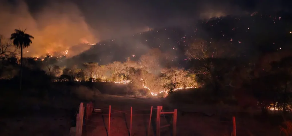 WhatsApp Image 2025 09 11 at 17.05.07