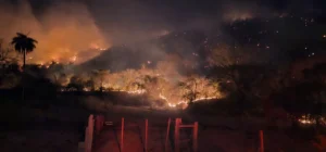 WhatsApp Image 2025 09 11 at 17.05.07