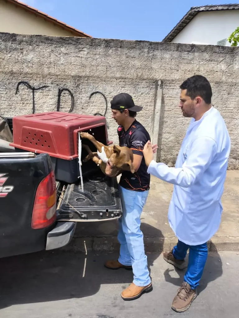 WhatsApp Image 2025 09 13 at 15.44.54