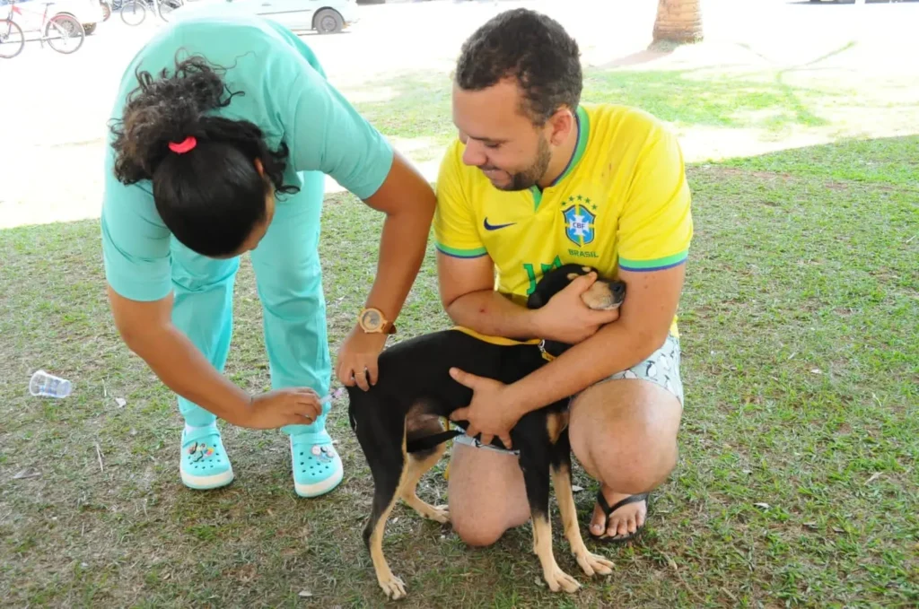 A vacinação é gratuita e destinada a cães e gatos a partir dos três meses de idade. A dose aplicada é única, de 1 ml por animal, via subcutânea.