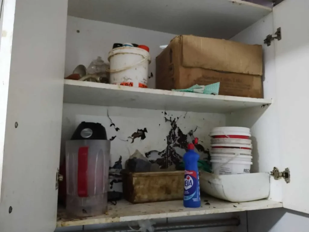 Panificadora é interditada em Goiânia por vender 50 quilos de alimentos impróprios 2 Foto: Divulgação/PCGO