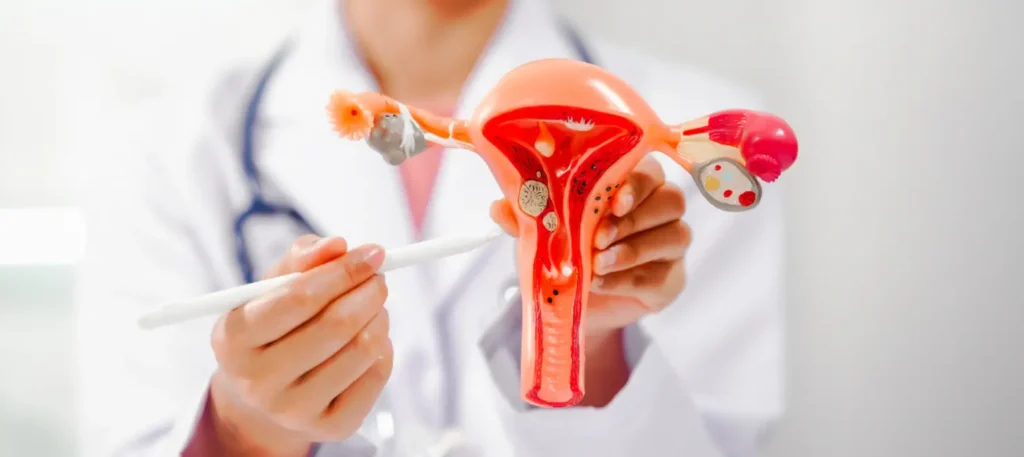 WhatsApp Image 2025 09 22 at 10.25.01