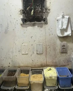 WhatsApp Image 2025 09 23 at 16.25.21