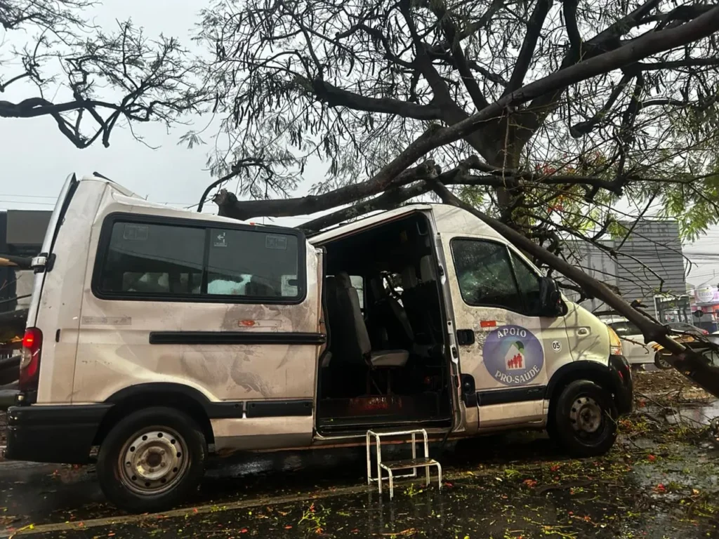 WhatsApp Image 2025 09 23 at 17.40.24 1