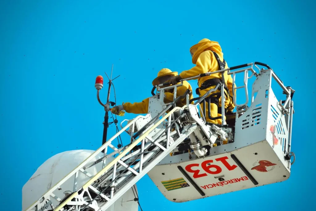 WhatsApp Image 2025 09 25 at 16.43.15