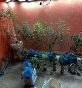 WhatsApp Image 2025 09 27 at 13.26.50