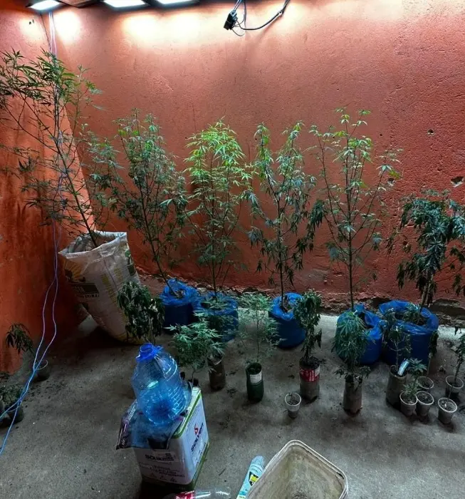 WhatsApp Image 2025 09 27 at 13.26.50