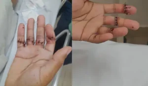 b3b571e111f8678fb6dac62acac51f11 g5news com br