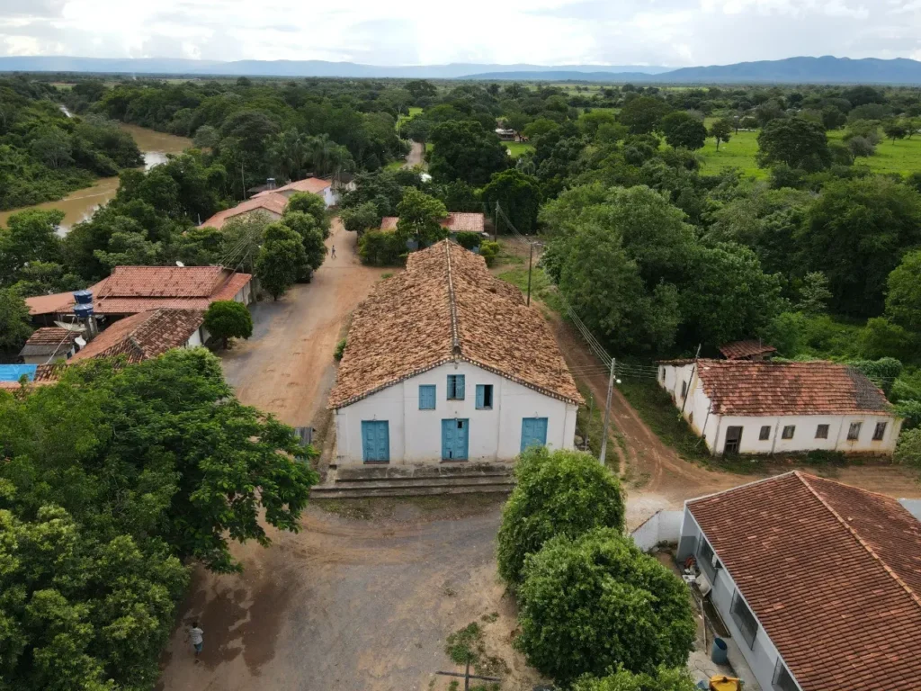 flores de goias