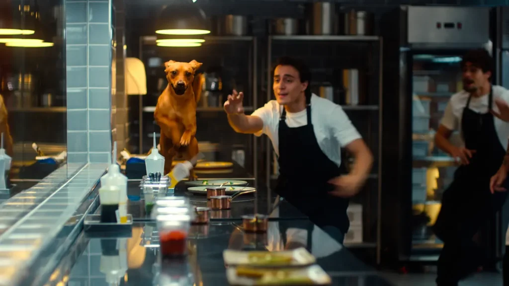 Vira-lata brasileiro ganha protagonismo em “Caramelo”, novo sucesso da Netflix 3 CAR u 00 11 54 06 R