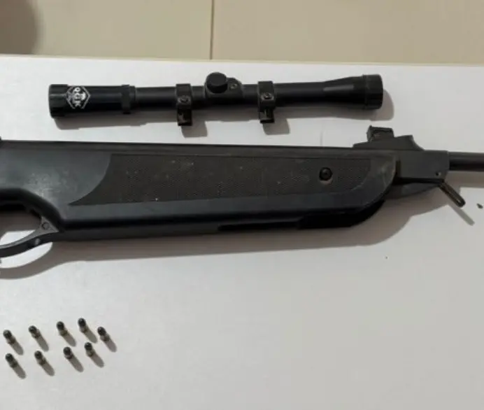 Arma de fogo ilegal é apreendida pela Polícia Civil em Silvânia 2 arma