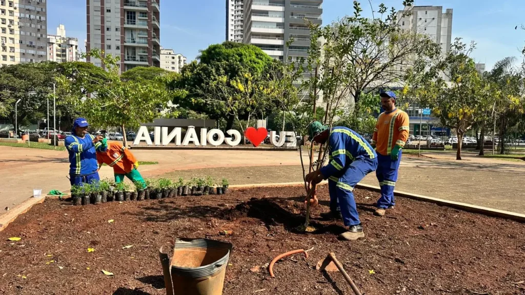 Praça do Ipê recebe conserto de calçadas e recuperação de pergolados danificados