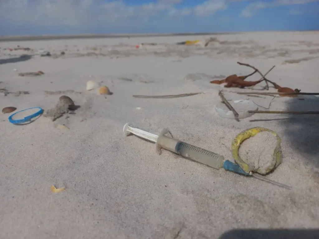Maior estudo sobre microplásticos revela contaminação em 70% das praias brasileiras 2 microplástico