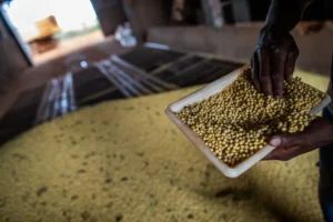 WhatsApp Image 2024 05 07 at 11.17.13