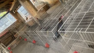 WhatsApp Image 2025 10 01 at 13.35.52 1