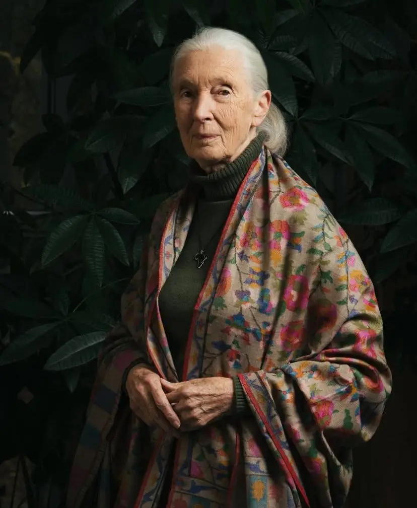 WhatsApp Image 2025 10 01 at 18.15.08