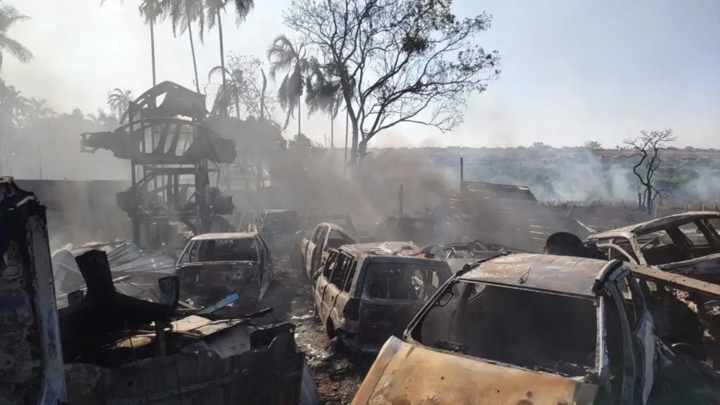 WhatsApp Image 2025 10 03 at 17.09.58