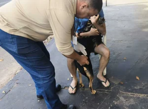 WhatsApp Image 2025 10 06 at 13.49.54