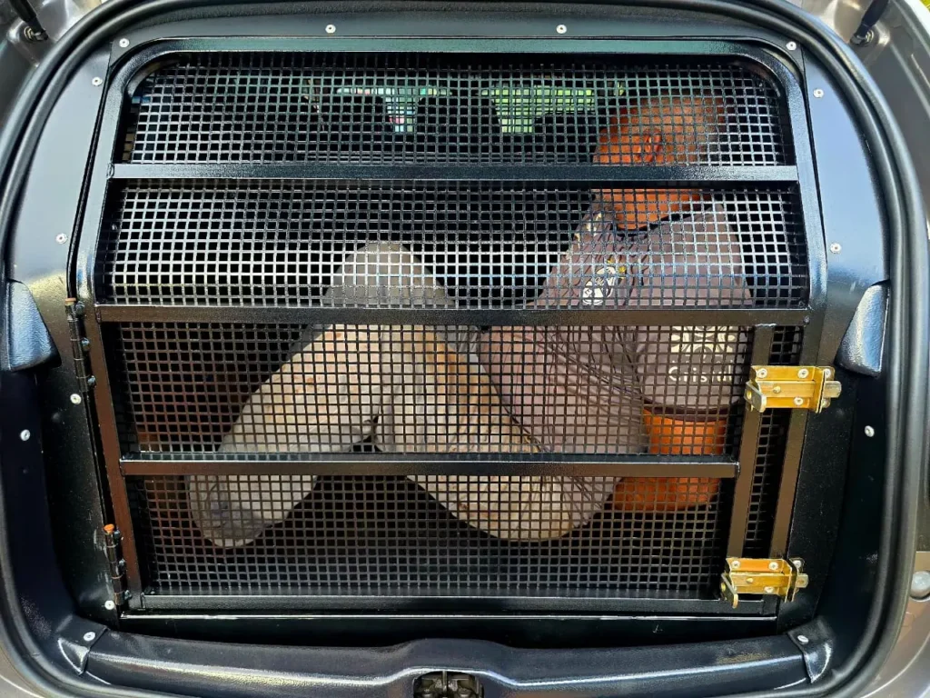 Treinador de escolinha de futebol é preso suspeito de abuso sexual em Aparecida de Goiânia 2 Treinador