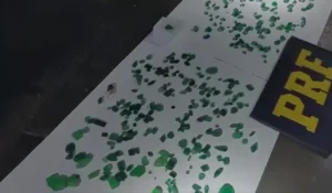 WhatsApp Image 2025 10 16 at 19.25.31