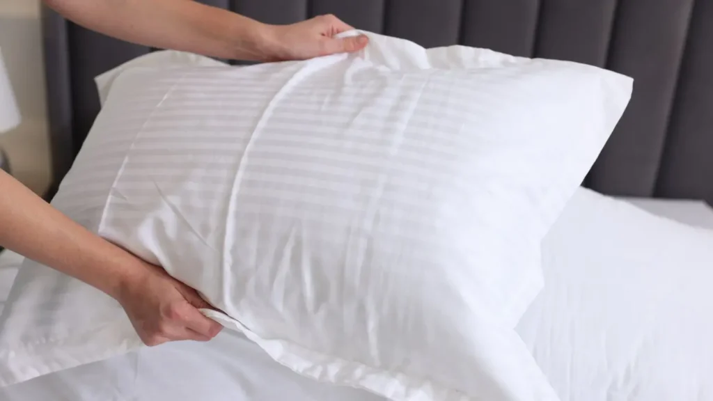 Mais de 10 milhões de ácaros podem habitar um travesseiro usado por dois anos.| foto: Reprodução /canva