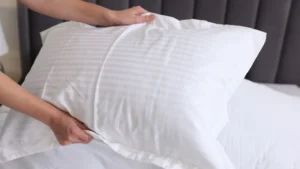 Mais de 10 milhões de ácaros podem habitar um travesseiro usado por dois anos.| foto: Reprodução /canva