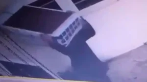 Ele foi localizado em posse de partes do aparelho furtado. | foto: GCM