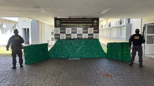 c4767729 whatsapp image 2025 10 02 at 07.16.51 1200x675 1