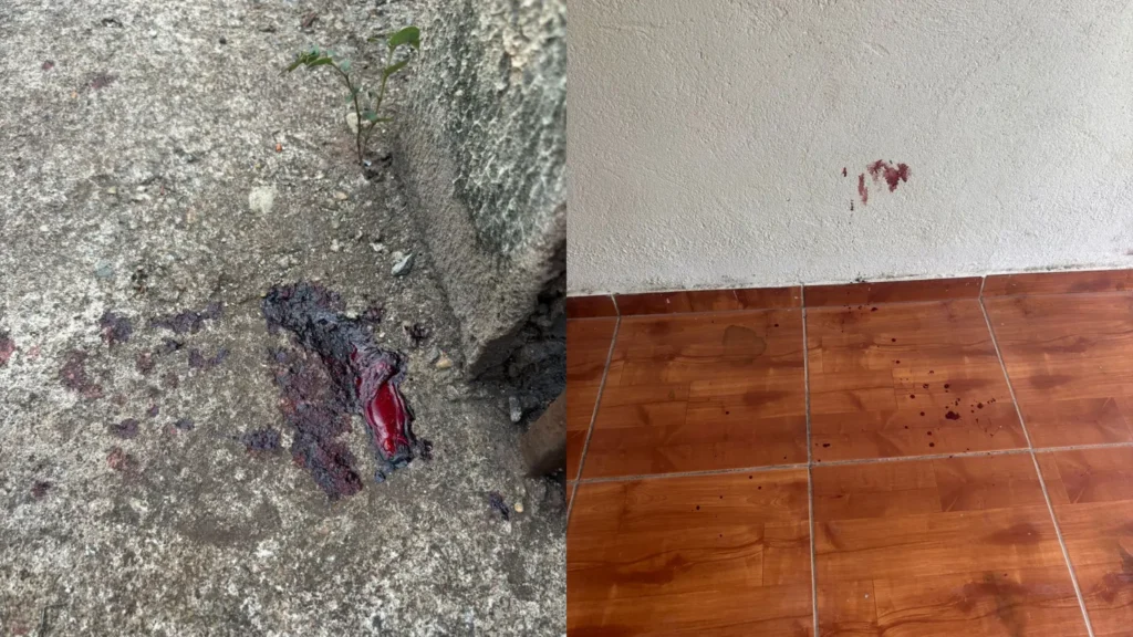 Polícia Militar prende suspeito de tentativa de feminicídio em Goiânia 2 capa 8