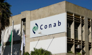 concurso conab