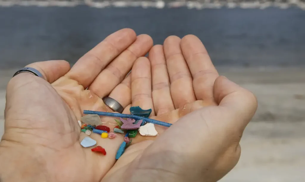 Maior estudo sobre microplásticos revela contaminação em 70% das praias brasileiras 3 microplástico
