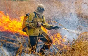 chapada dos veadeiros