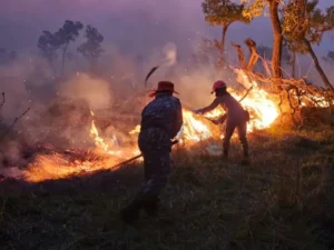 up ag 24411 f8a39c77 6f62 d5ad a114 4b63a3cac670