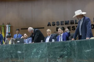 Busca por partidos menores cresce com desafios na eleição de deputados