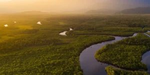 Amazônia